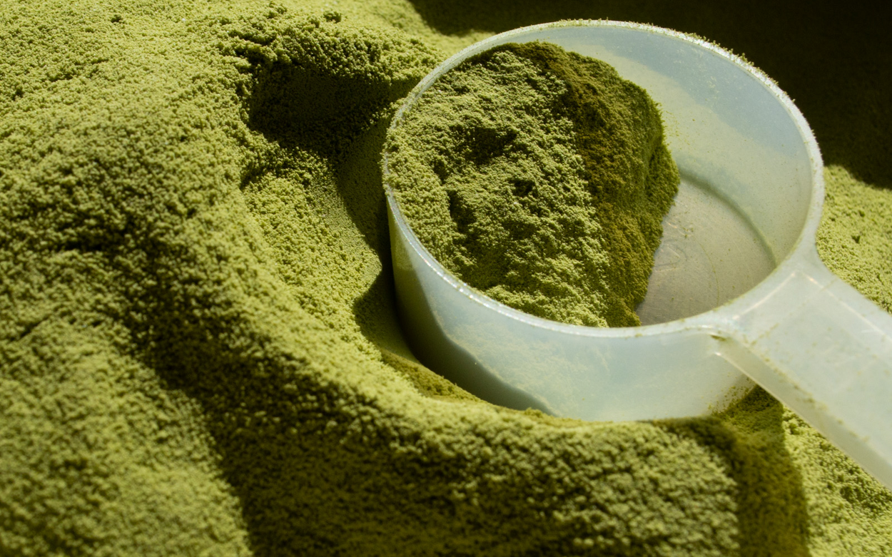 Gut Power Matcha Gut Power Drinks