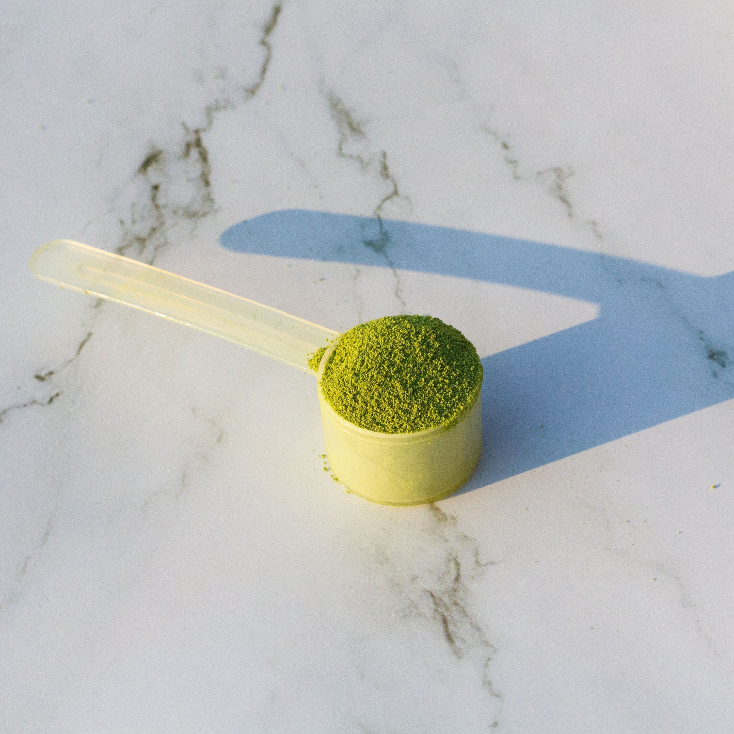 Gut Power Matcha Gut Power Drinks